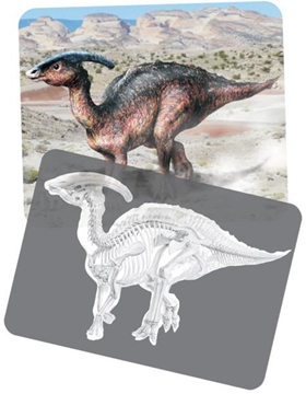 Image de Les radiographies des dinosaures